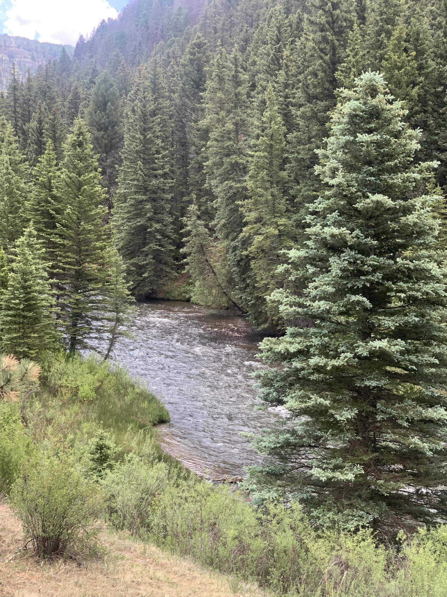 63 L Road Telluride, CO 81435 - Photo 10 of 15 a view of a pathway both side of yard