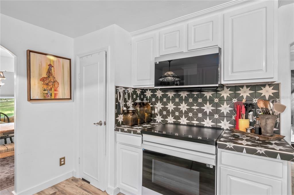 22924 Northwest 91st Court Road Micanopy, FL 32667 - Photo 19 of 95