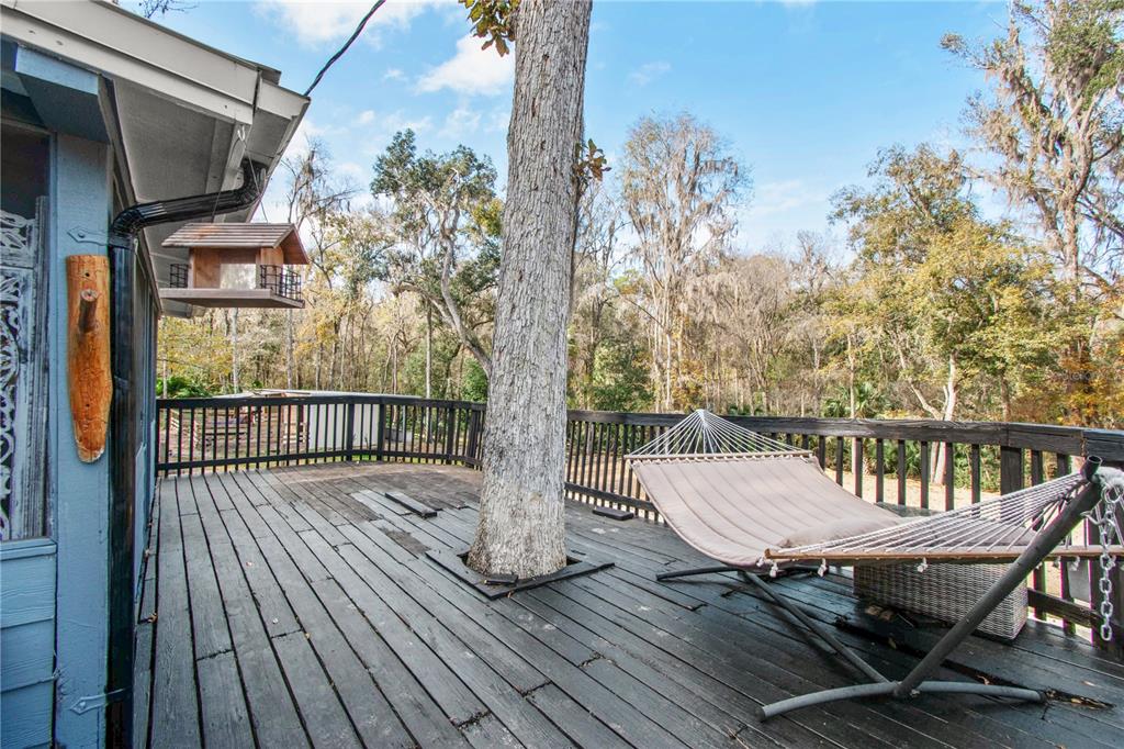 22924 Northwest 91st Court Road Micanopy, FL 32667 - Photo 38 of 95