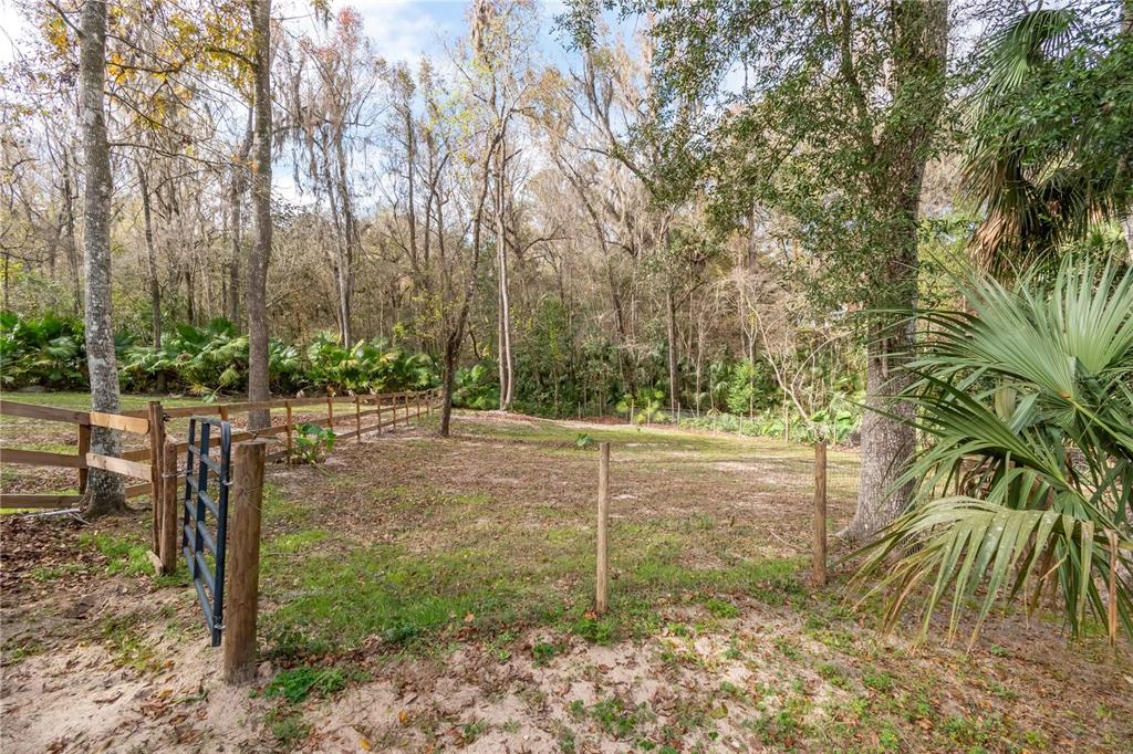 22924 Northwest 91st Court Road Micanopy, FL 32667 - Photo 50 of 95