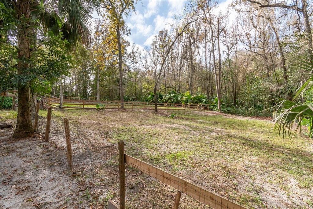 22924 Northwest 91st Court Road Micanopy, FL 32667 - Photo 52 of 95 a view of outdoor space with deck and trees