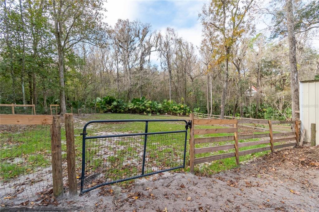 22924 Northwest 91st Court Road Micanopy, FL 32667 - Photo 55 of 95