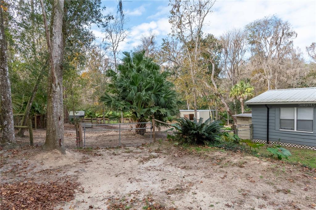 22924 Northwest 91st Court Road Micanopy, FL 32667 - Photo 6 of 95 a backyard of a house with lots of green space