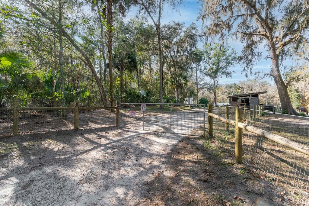 22924 Northwest 91st Court Road Micanopy, FL 32667 - Photo 61 of 95 a backyard of a house with lots of green space