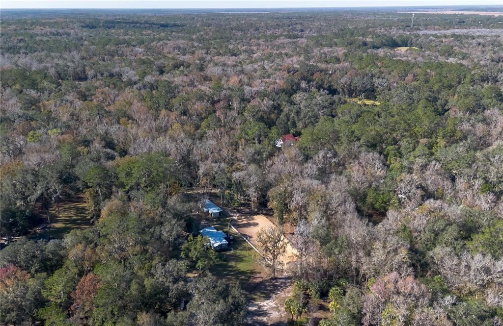 22924 Northwest 91st Court Road Micanopy, FL 32667 - Photo 75 of 95