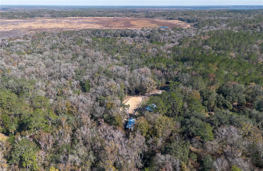 22924 Northwest 91st Court Road Micanopy, FL 32667 - Photo 83 of 95