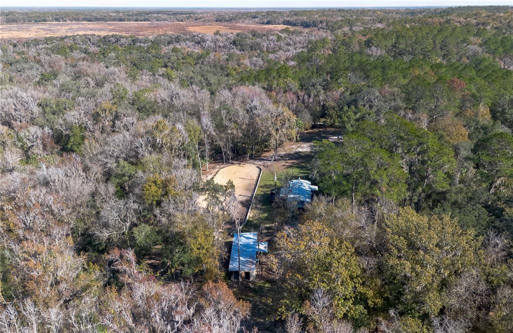 22924 Northwest 91st Court Road Micanopy, FL 32667 - Photo 85 of 95