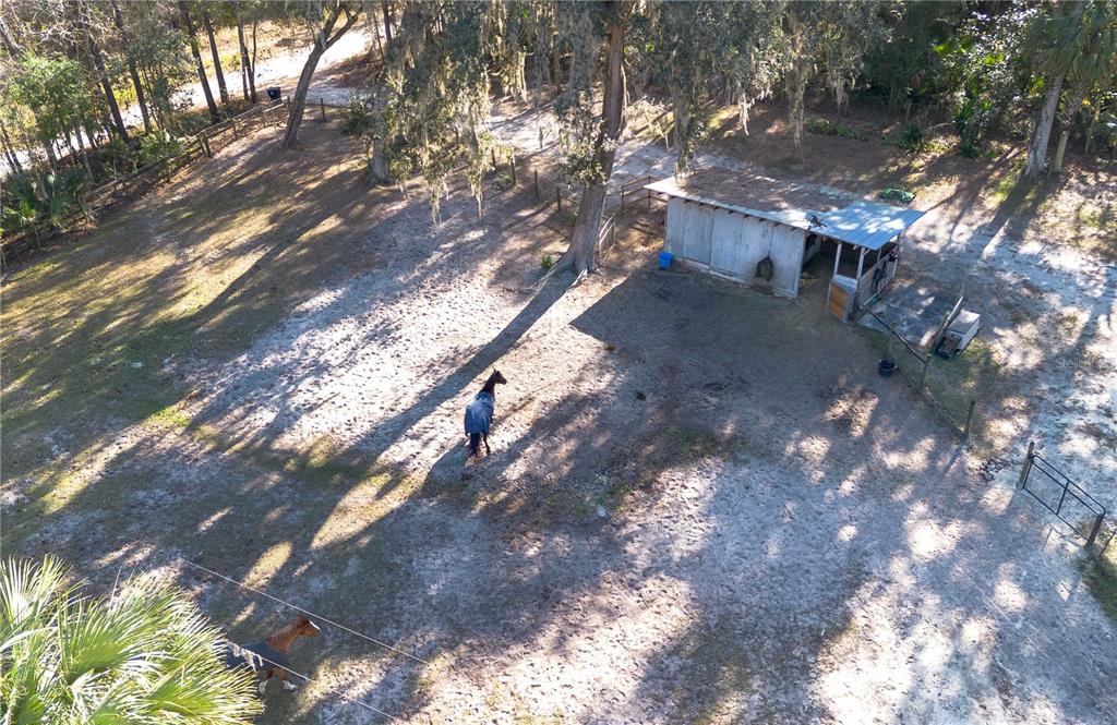 22924 Northwest 91st Court Road Micanopy, FL 32667 - Photo 91 of 95