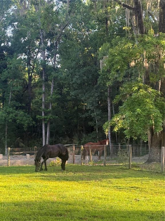22924 Northwest 91st Court Road Micanopy, FL 32667 - Photo 93 of 95
