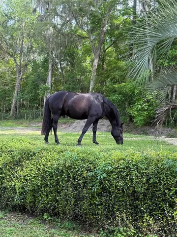 $450,000 | 22924 Northwest 91st Court Road, Micanopy, FL 32667