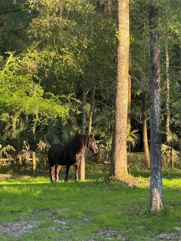 $450,000 | 22924 Northwest 91st Court Road, Micanopy, FL 32667