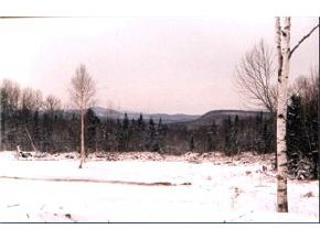 815 Cabot Plains Road Cabot, VT 05647 - Photo 3 of 9