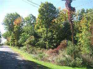 a view of a yard with large trees