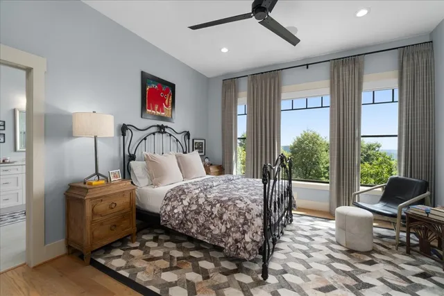 a view of a park with large trees