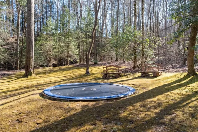 $1,875,000 | 207 Utana Blfs Trail, Ellijay, GA 30540