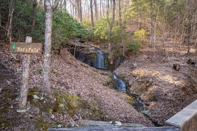 $1,875,000 | 207 Utana Blfs Trail, Ellijay, GA 30540