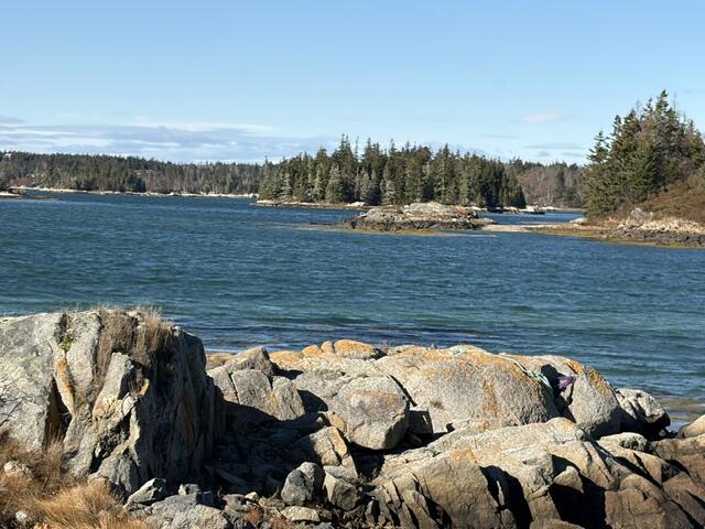 Lot 12-004 Coombs Neck Road Vinalhaven, ME 04863 - Photo 8 of 10