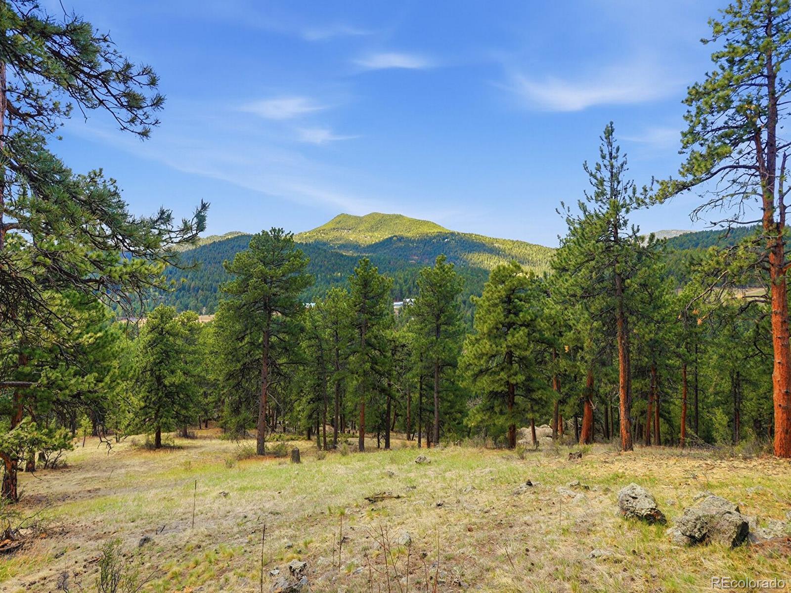 7062 Peaceful Hills Road Morrison, CO 80465 - Photo 23 of 40