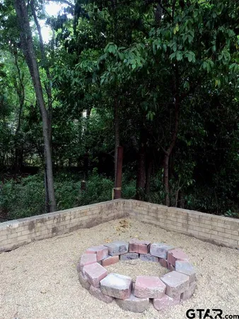 a view of a dry yard with trees