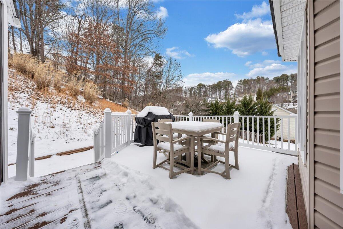 1389 Fieldgate Road Salem, VA 24153 - Photo 45 of 54 45-MIB07023