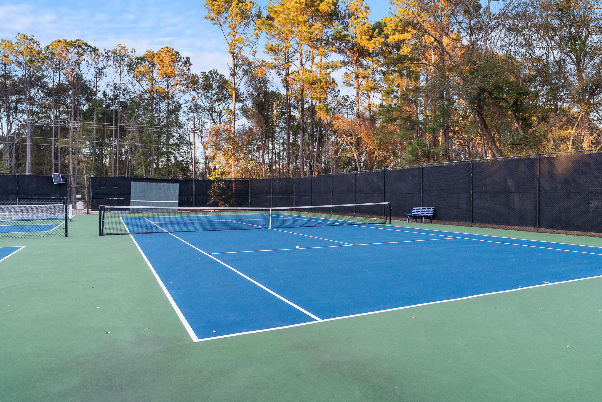 1330 Somersby Lane Mount Pleasant, SC 29466 - Photo 41 of 43 Tennis Courts