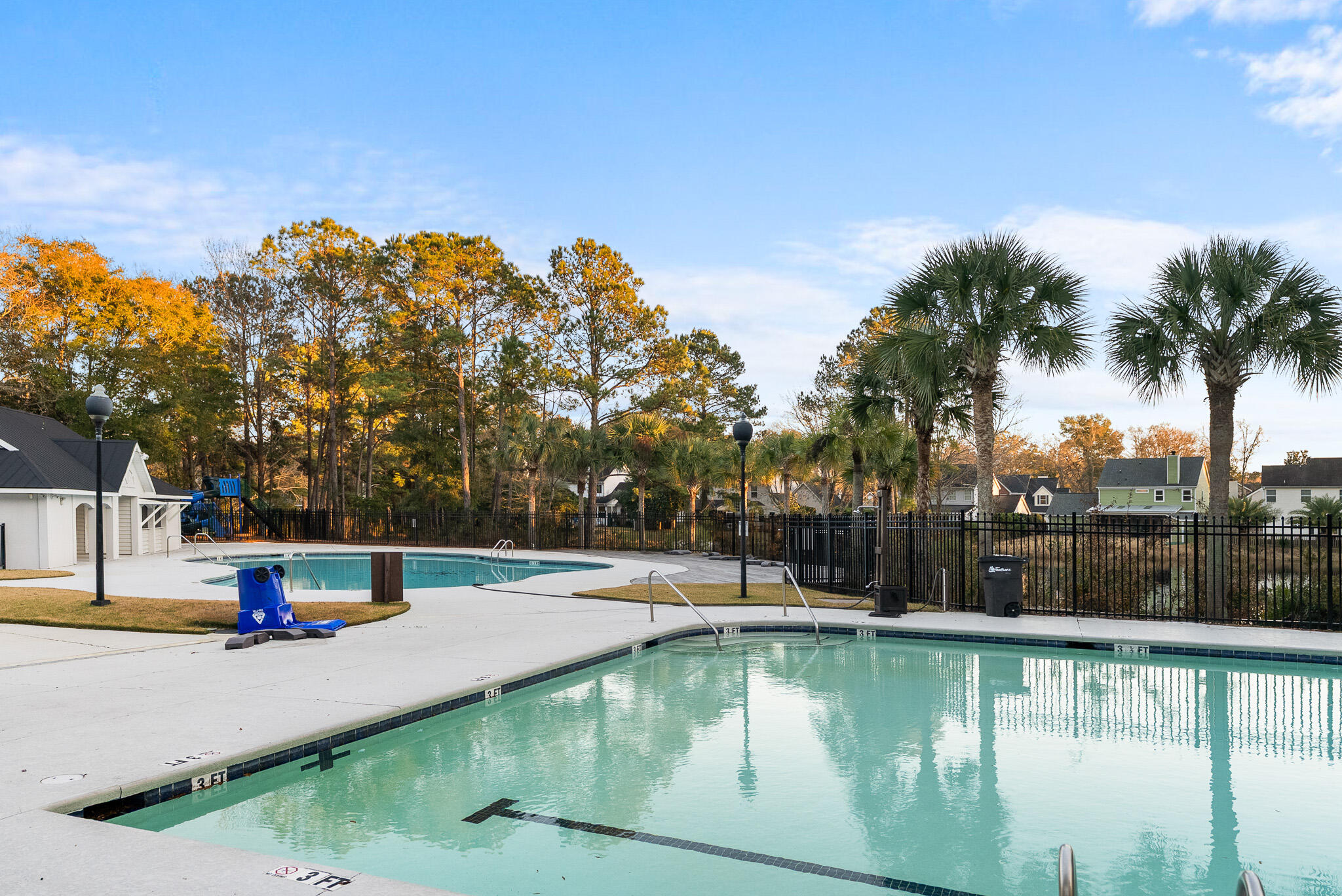 1330 Somersby Lane Mount Pleasant, SC 29466 - Photo 43 of 43 Pool