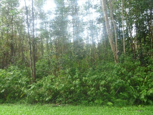 715 Hilo Road Pahoa, HI 96778 - Photo 1 of 6 Gallery Image 1