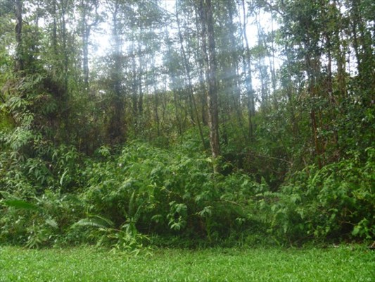715 Hilo Road Pahoa, HI 96778 - Photo 3 of 6 Gallery Image 3