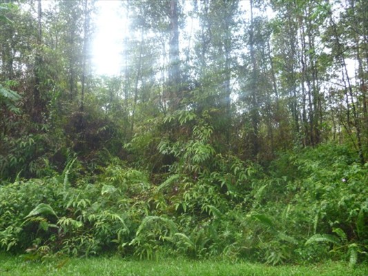 715 Hilo Road Pahoa, HI 96778 - Photo 5 of 6 Gallery Image 5