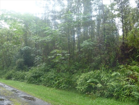 715 Hilo Road Pahoa, HI 96778 - Photo 6 of 6 Gallery Image 6