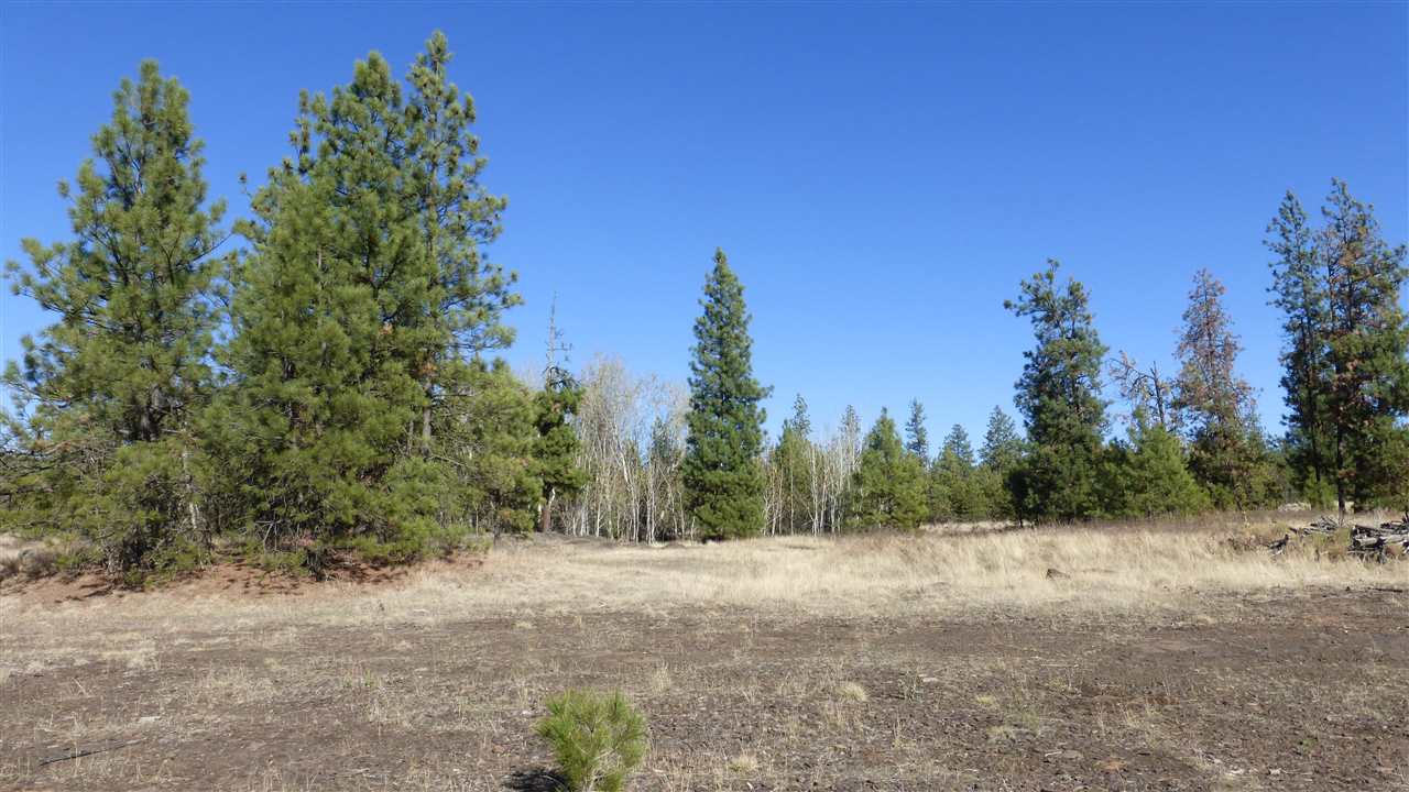 0 West Burnett Road Spokane, WA 99224 - Photo 1 of 11