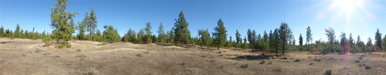 0 West Burnett Road Spokane, WA 99224 - Photo 2 of 11