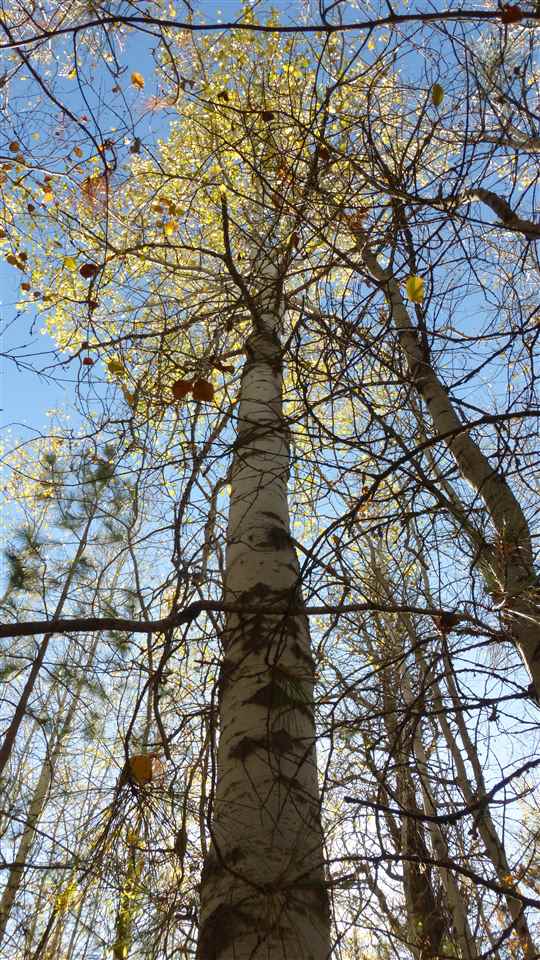 0 West Burnett Road Spokane, WA 99224 - Photo 3 of 11