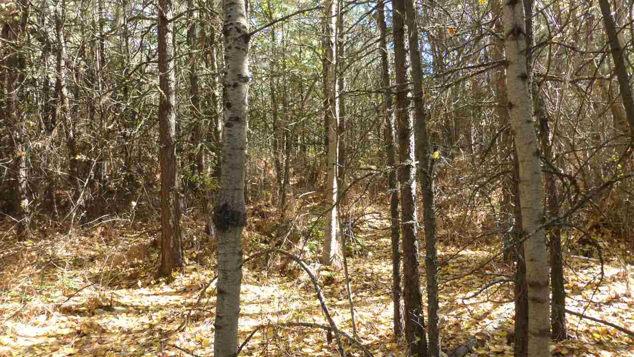 0 West Burnett Road Spokane, WA 99224 - Photo 6 of 11
