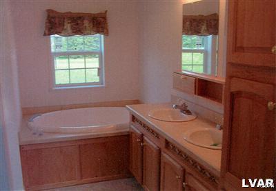 1168 Clearfield Road Nazareth, PA 18064 - Photo 15 of 19 a bathroom with a sink a vanity and a bathtub