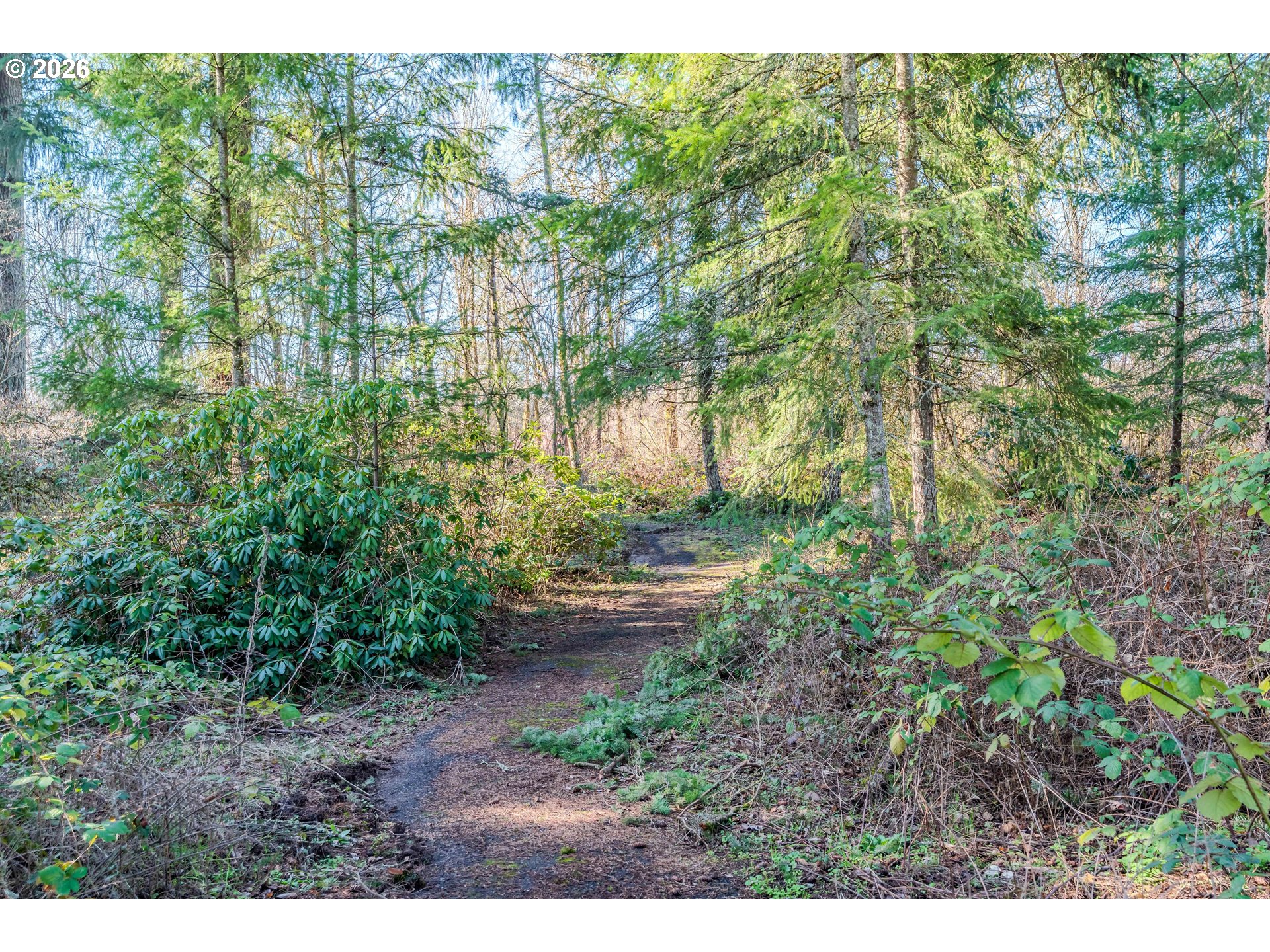 18183 Southeast Richey Road Gresham, OR 97080 - Photo 46 of 48