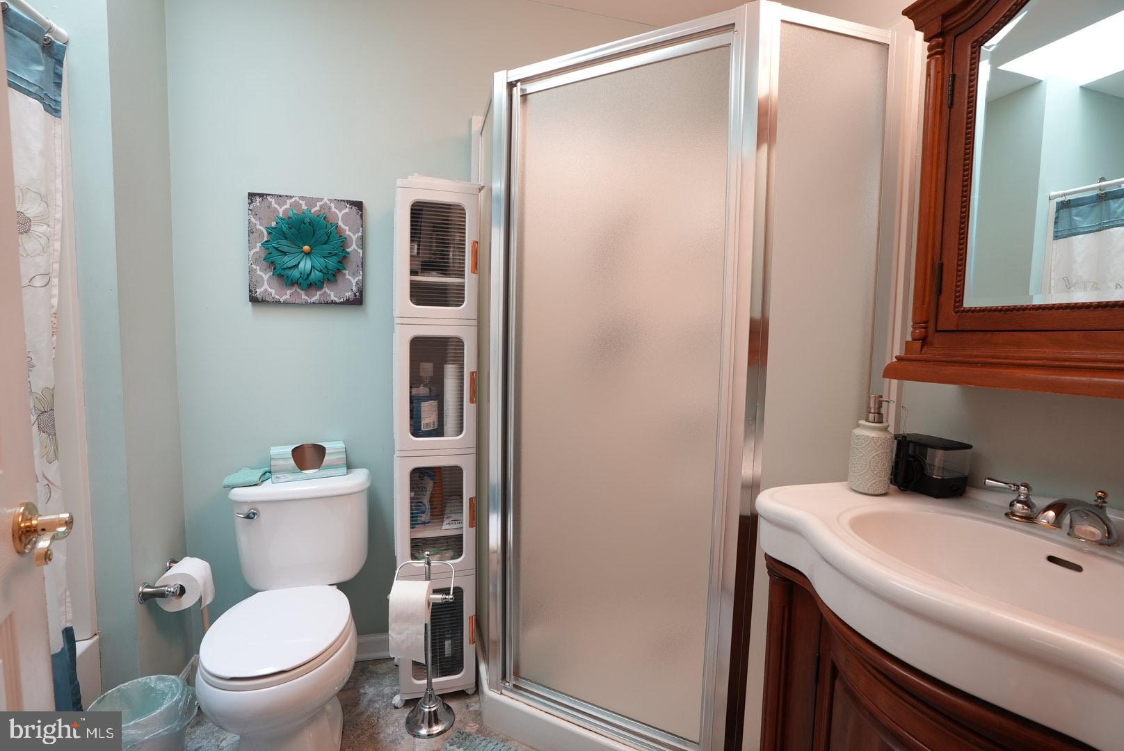 114 Salina Road Sewell, NJ 08080 - Photo 39 of 86 Primary BR Bathroom 1st fl