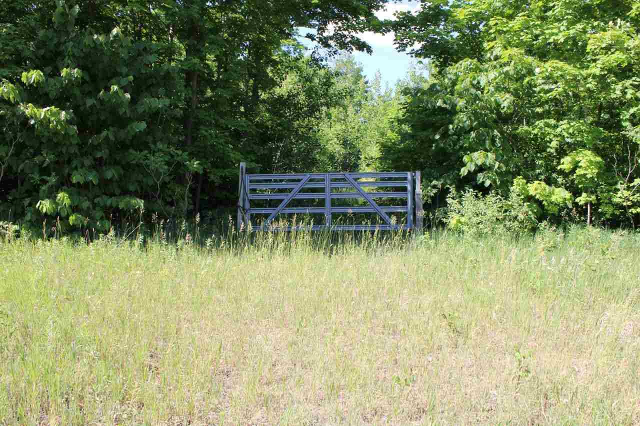 4663 Soderquist Road Mancelona, MI 49659 - Photo 44 of 60 1887098-44.JPG