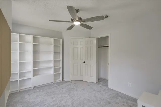 a view of a park with large trees