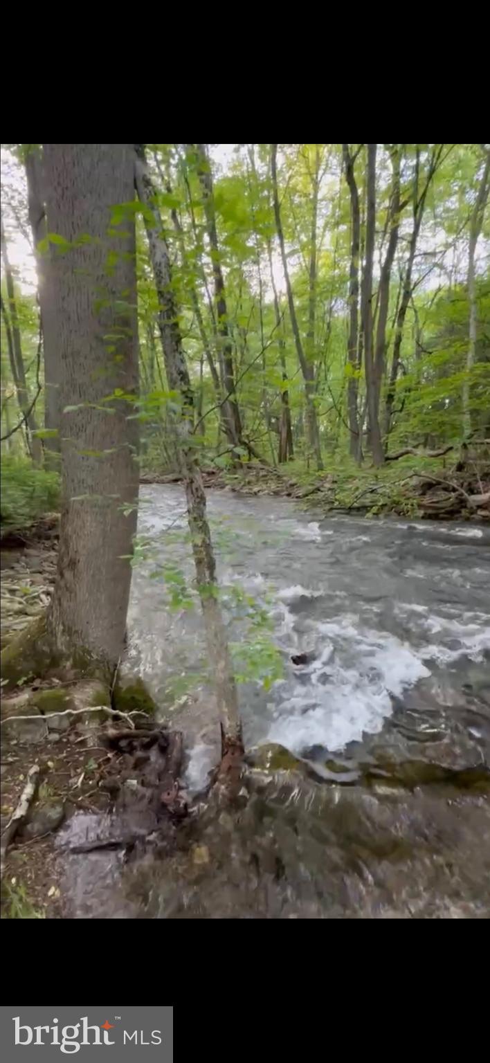 75 Pocahontas Trail Lock Haven, PA 17745 - Photo 49 of 49 a view of outdoor space and yard