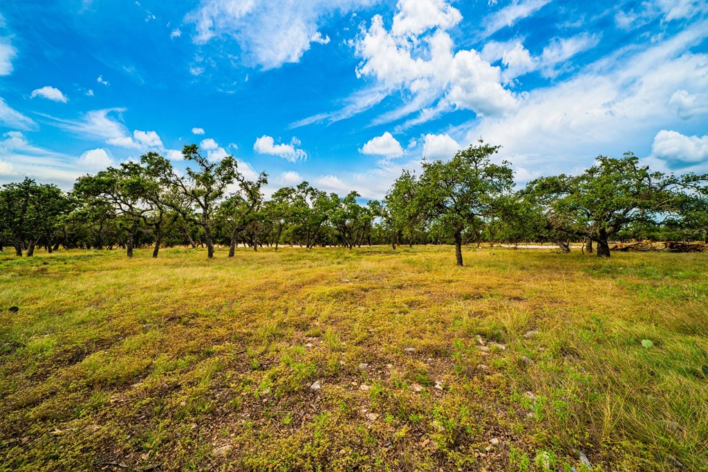 Lot 20 Reservation Road, Unit 20 Harper, TX 78631 - Photo 5 of 5 Gallery Image 5