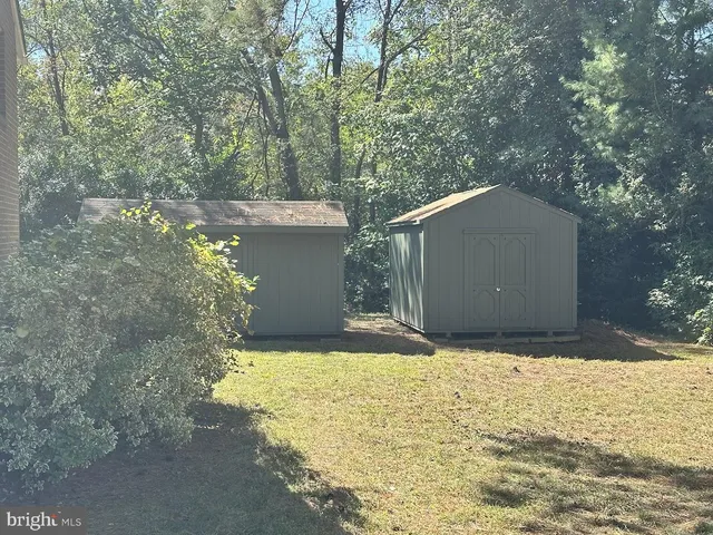 a view of backyard with large trees