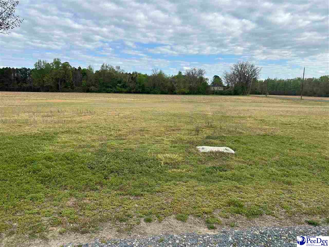 136 South Stanton Street McColl, SC 29570 - Photo 22 of 23 Gallery Image 22