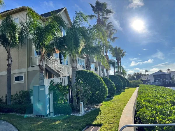 a view of a palm trees front of house