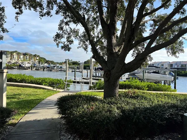 a view of a garden with a tree