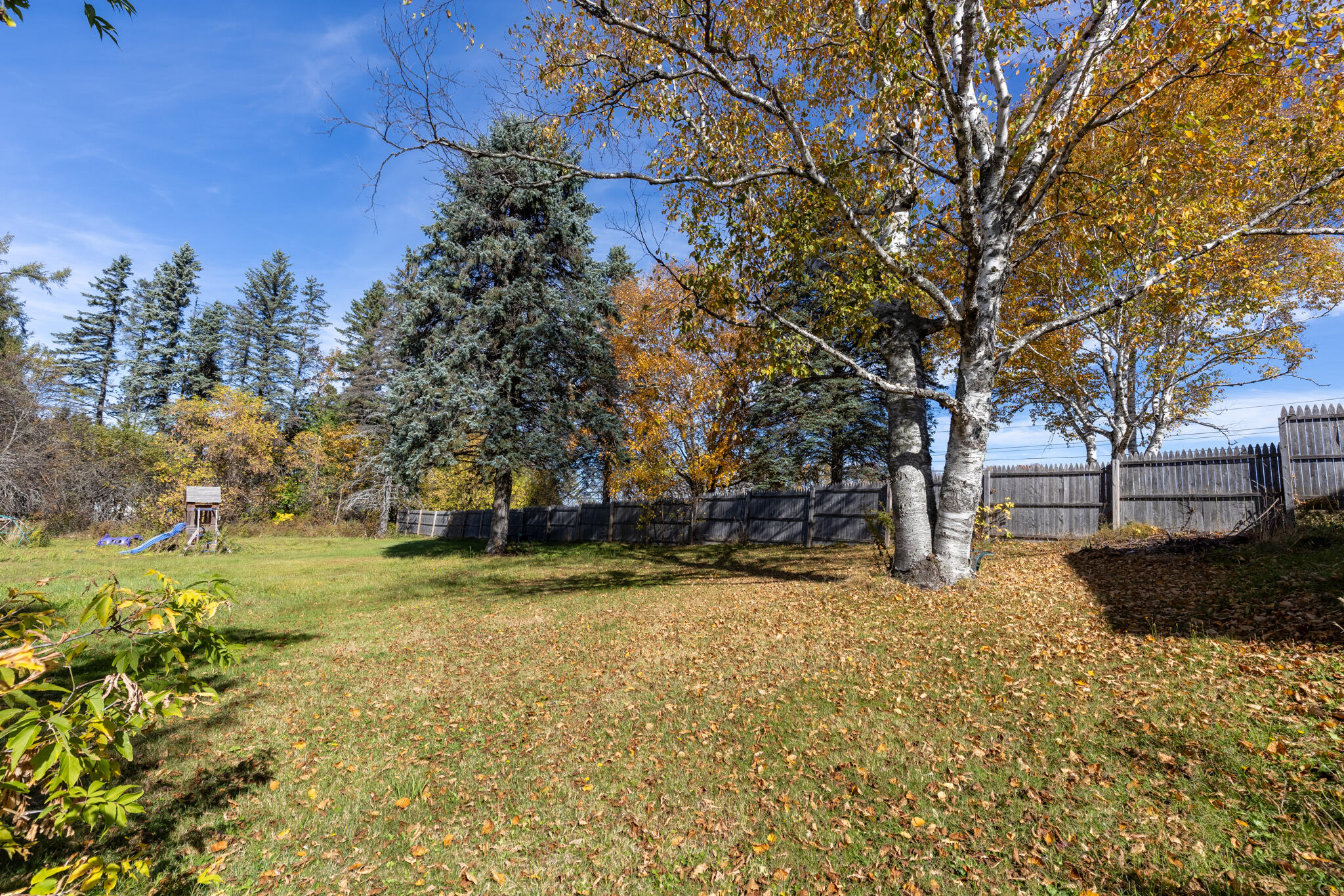 217 Houlton Road Presque Isle, ME 04769 - Photo 81 of 99 20251010-_MG_9641-HDR