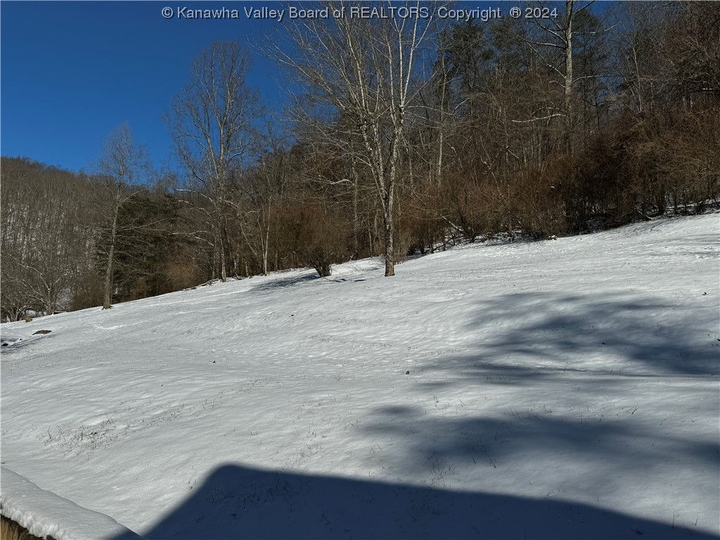 1546 Aarons Fork Road Elkview, WV 25071 - Photo 7 of 20 Gallery Image 7