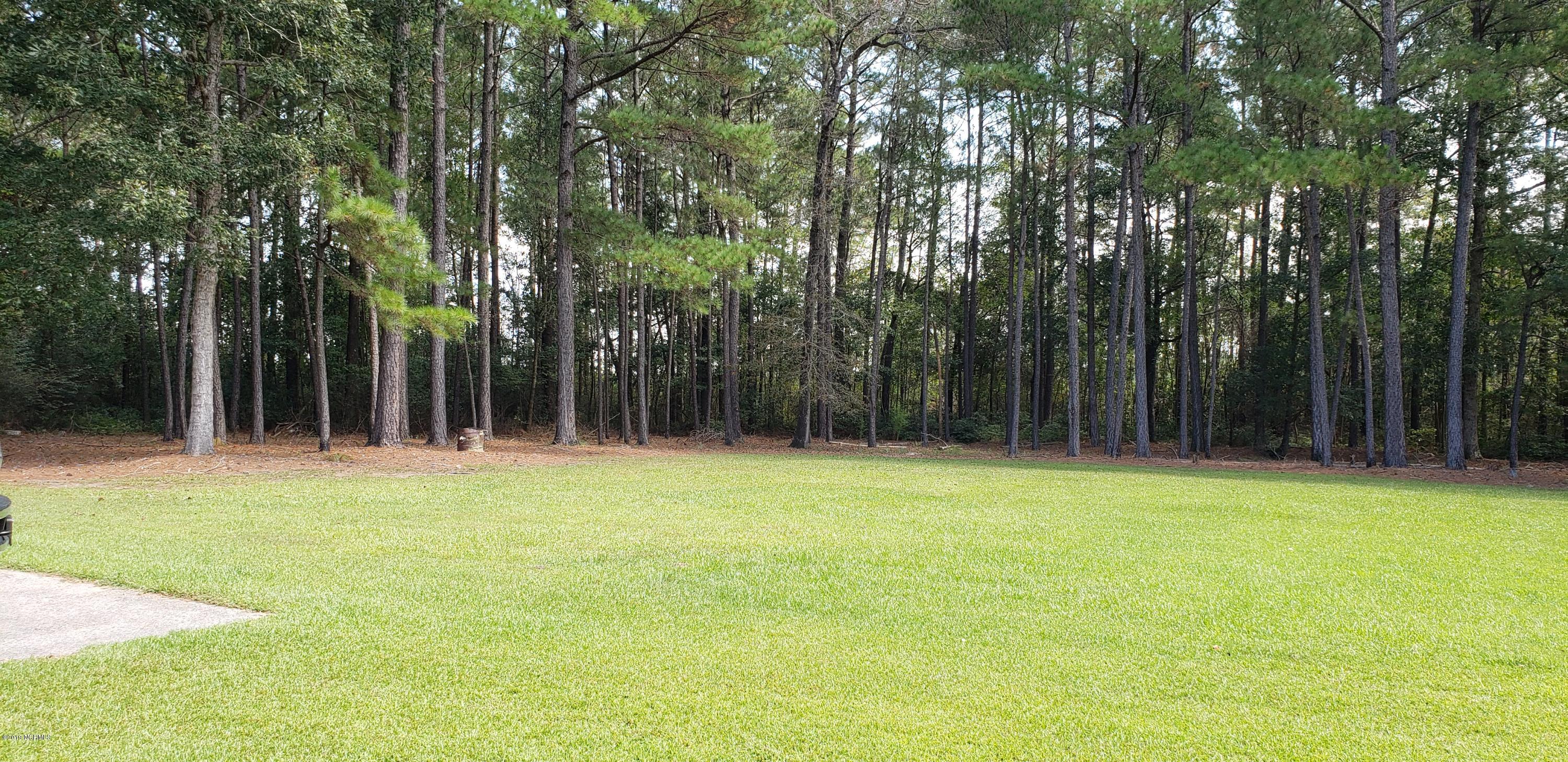 1254 Cedar Fork Road Beulaville, NC 28518 - Photo 4 of 4 20190917_121134