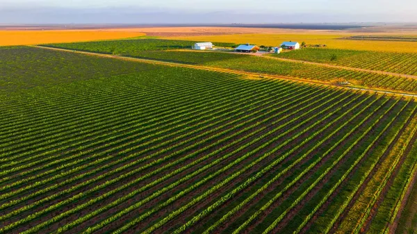 a view of an ocean from a balcony