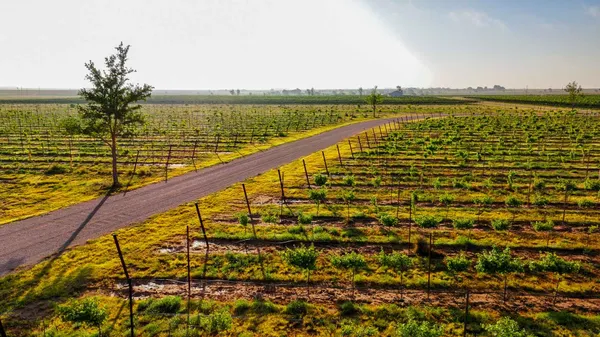 a view of a house with a big yard and potted plants